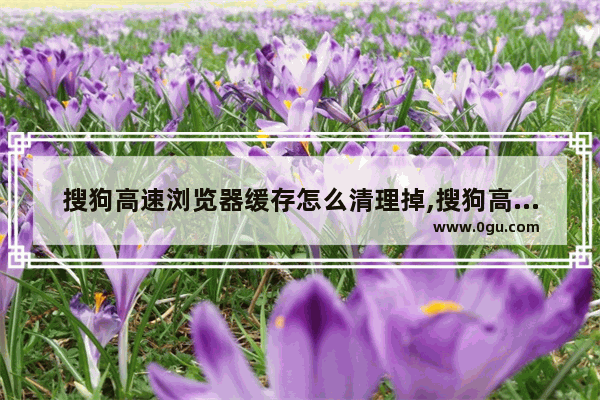 搜狗高速浏览器缓存怎么清理掉,搜狗高速浏览器缓存怎么清理啊