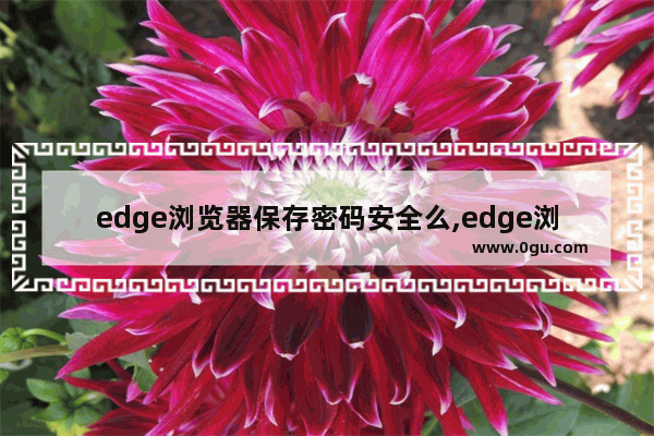 edge浏览器保存密码安全么,edge浏览器记录密码