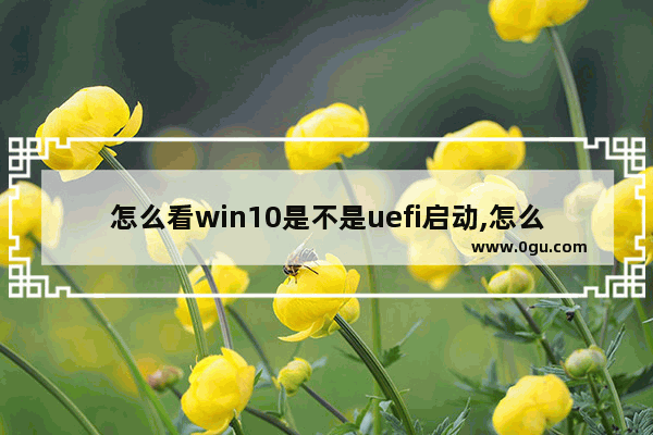 怎么看win10是不是uefi启动,怎么看是bios启动还是uefi启动