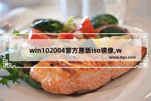 win102004官方原版iso镜像,win10 1804版本
