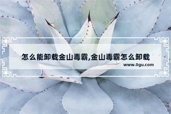 怎么能卸载金山毒霸,金山毒霸怎么卸载