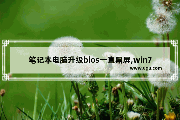 笔记本电脑升级bios一直黑屏,win7进入bios黑屏