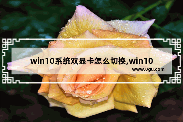 win10系统双显卡怎么切换,win10怎么切换成独立显卡
