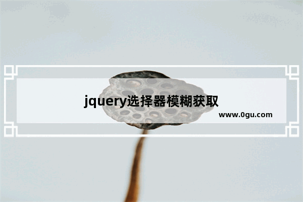 jquery选择器模糊获取