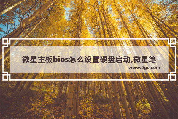 微星主板bios怎么设置硬盘启动,微星笔记本怎么u盘启动bios设置