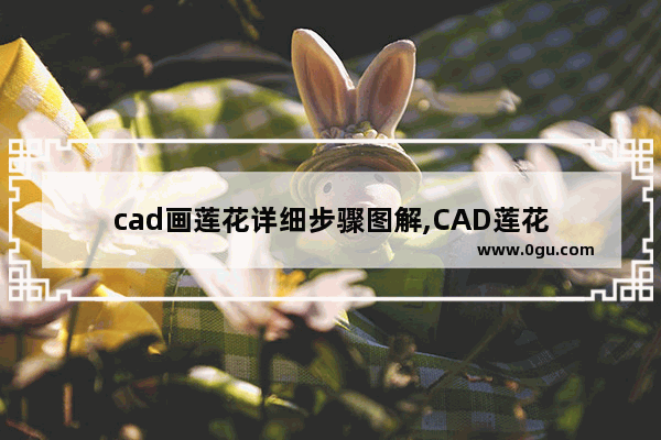 cad画莲花详细步骤图解,CAD莲花