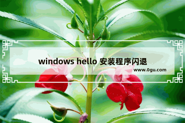 windows hello 安装程序闪退,win10专业版打开设置闪退