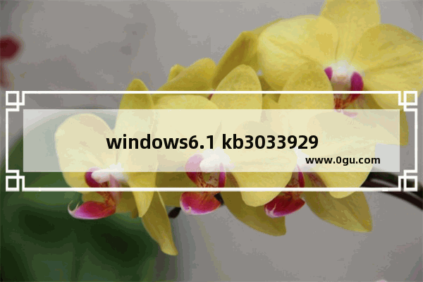 windows6.1 kb3033929无法安装,win7系统kb4499175补丁安装失败