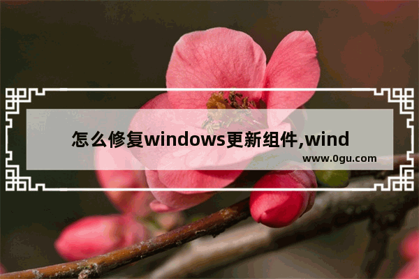 怎么修复windows更新组件,windows update 无法更新