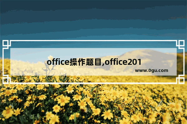 office操作题目,office2016操作题