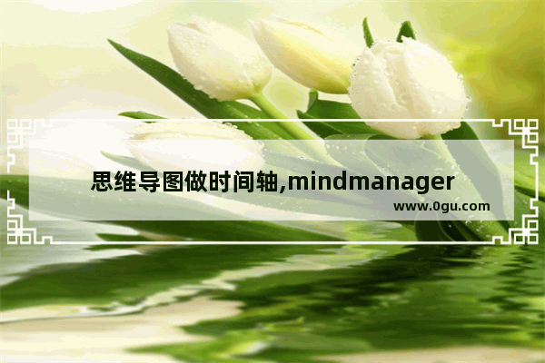 思维导图做时间轴,mindmanager思维导图教程
