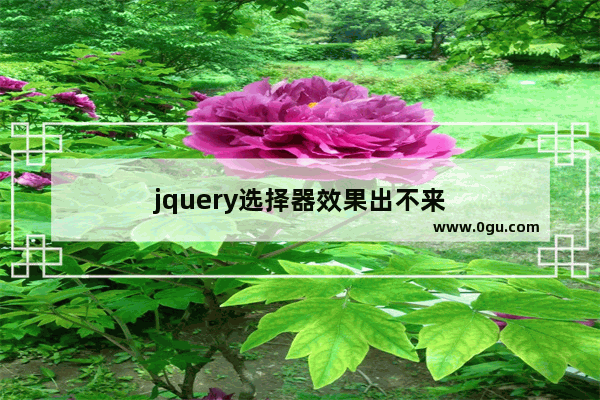 jquery选择器效果出不来