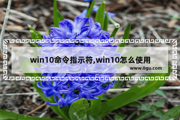 win10命令指示符,win10怎么使用命令提示符