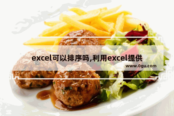 excel可以排序吗,利用excel提供的排序功能