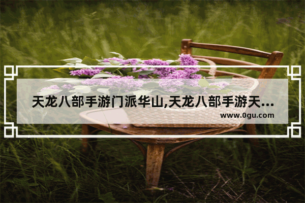 天龙八部手游门派华山,天龙八部手游天龙门派华山指点