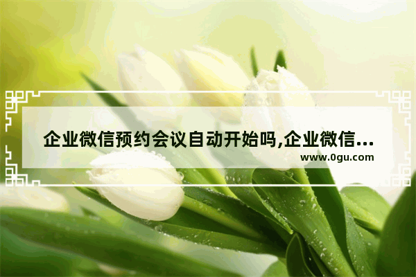企业微信预约会议自动开始吗,企业微信如何发起会议邀请