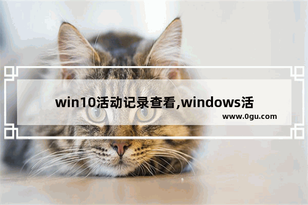 win10活动记录查看,windows活动历史记录