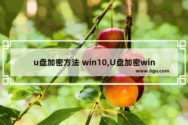 u盘加密方法 win10,U盘加密win10