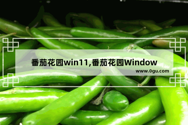 番茄花园win11,番茄花园Windows