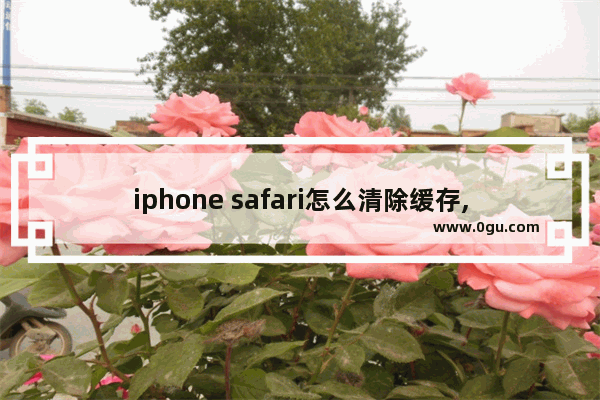 iphone safari怎么清除缓存,如何清除safari浏览器的缓存
