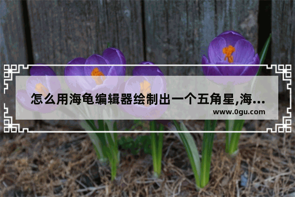 怎么用海龟编辑器绘制出一个五角星,海龟画图怎么画五角星