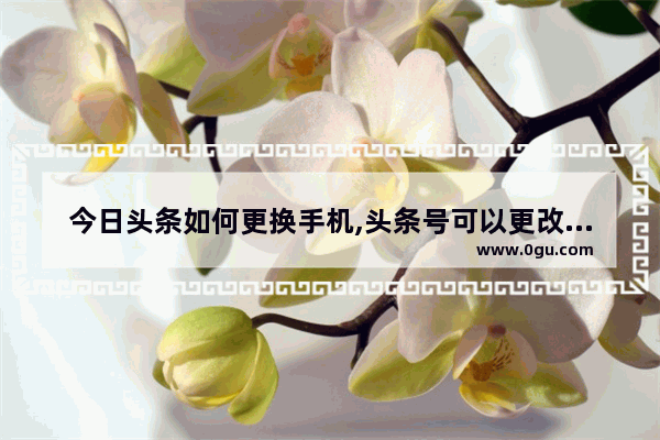 今日头条如何更换手机,头条号可以更改手机号码吗