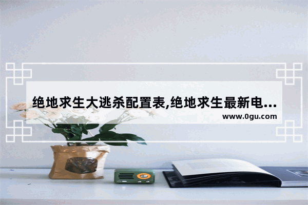 绝地求生大逃杀配置表,绝地求生最新电脑配置