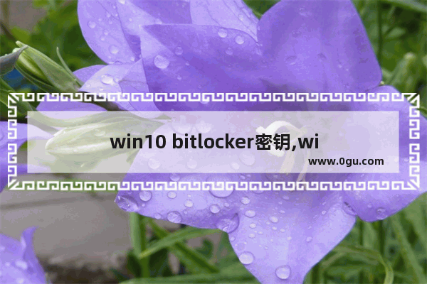 win10 bitlocker密钥,win10密码怎么取消pin