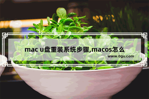 mac u盘重装系统步骤,macos怎么用u盘重装