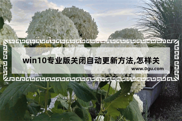 win10专业版关闭自动更新方法,怎样关闭windows 10的更新