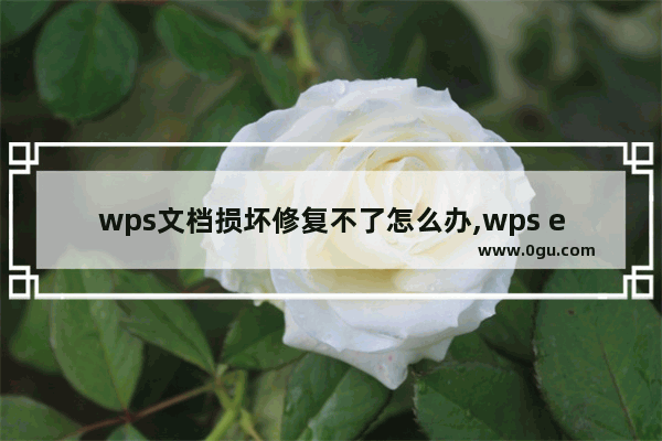 wps文档损坏修复不了怎么办,wps excel文件损坏修复绝招