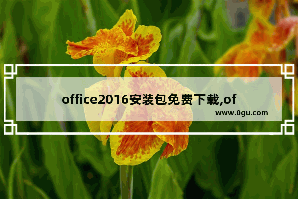 office2016安装包免费下载,office2016免费版安装包