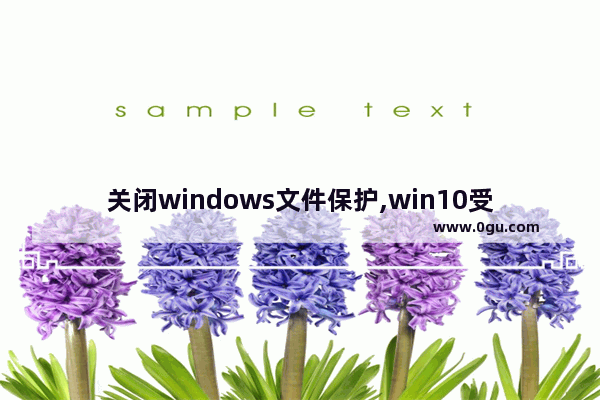关闭windows文件保护,win10受保护的文件怎么删除