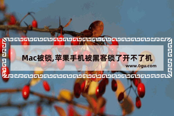 Mac被锁,苹果手机被黑客锁了开不了机