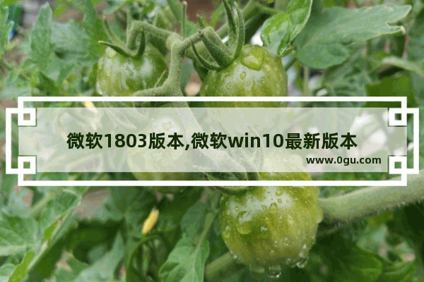 微软1803版本,微软win10最新版本