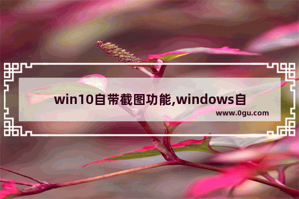 win10自带截图功能,windows自带截图功能
