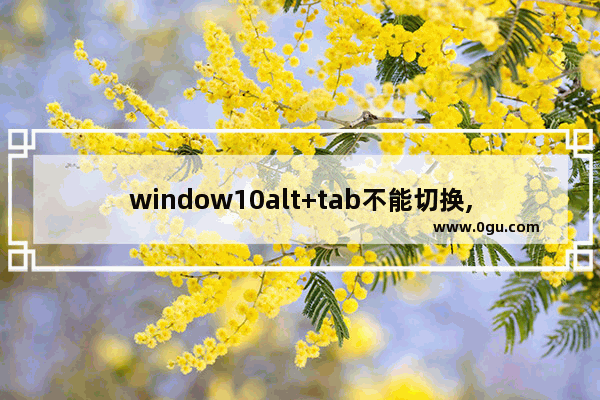 window10alt+tab不能切换,在windows,alt+tab能否切换窗口操作