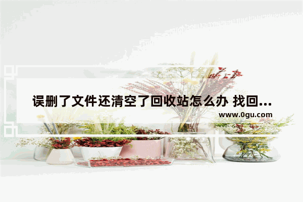 误删了文件还清空了回收站怎么办 找回被删的文件方法步骤