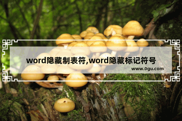 word隐藏制表符,word隐藏标记符号