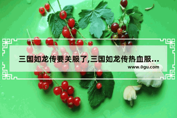 三国如龙传要关服了,三国如龙传热血服开服表