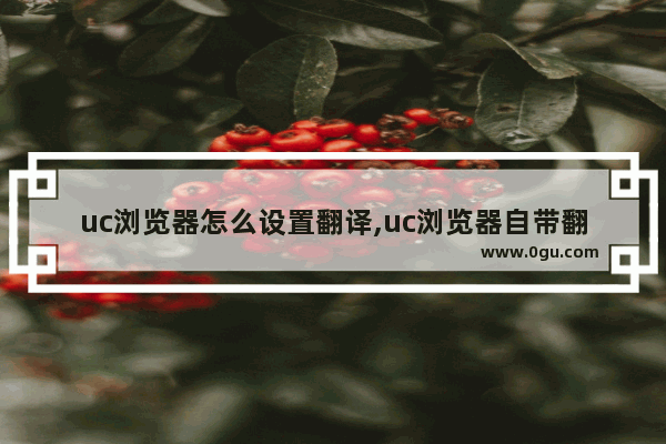 uc浏览器怎么设置翻译,uc浏览器自带翻译功能详解
