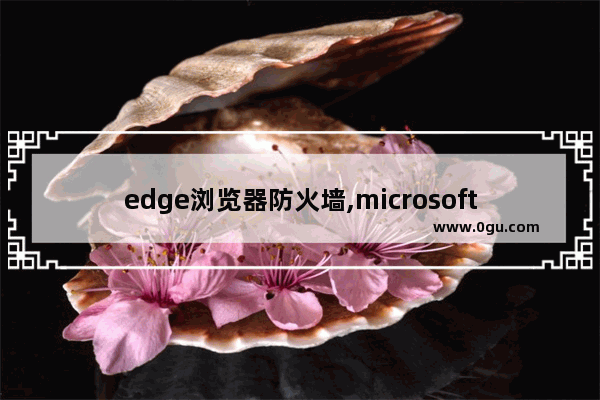 edge浏览器防火墙,microsoft edge不安全怎么解决