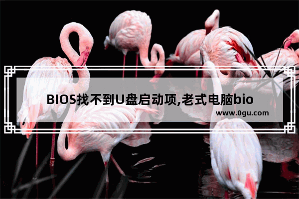 BIOS找不到U盘启动项,老式电脑bios中找不到u盘启动设置