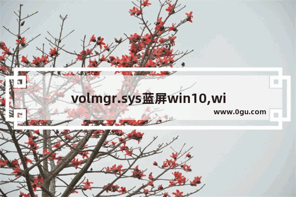 volmgr.sys蓝屏win10,win10蓝屏acpi.sys