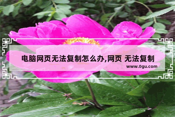 电脑网页无法复制怎么办,网页 无法复制