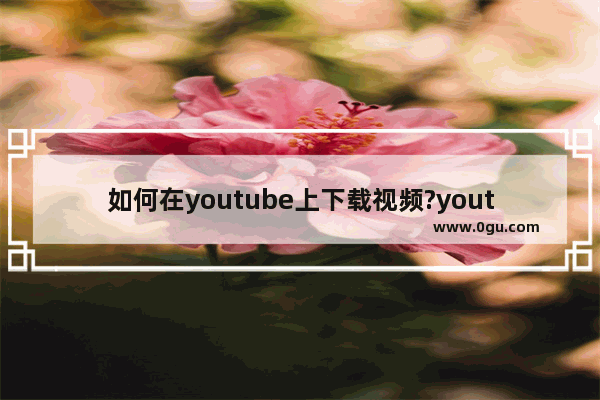 如何在youtube上下载视频?youtube视频下载方法