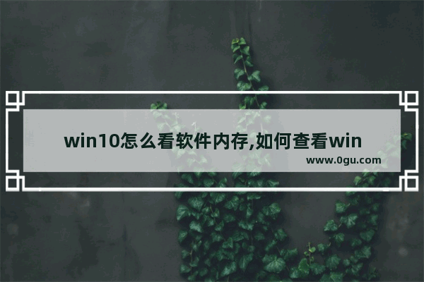 win10怎么看软件内存,如何查看win10内存