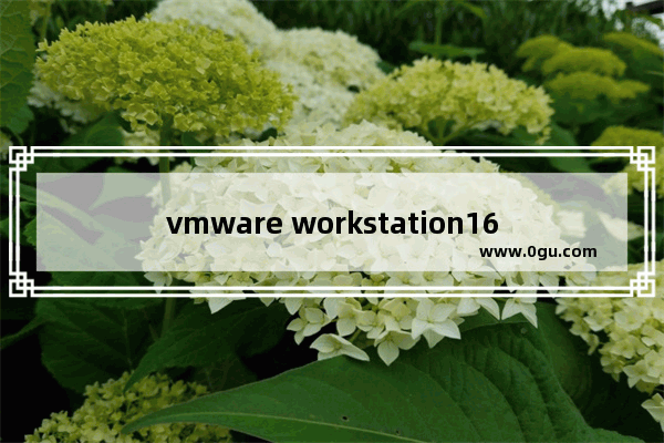 vmware workstation16安装系统,vmware workstation安装教程csdn