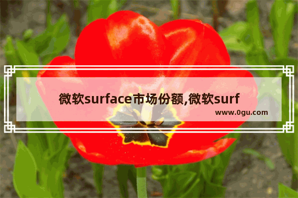 微软surface市场份额,微软surface 7+