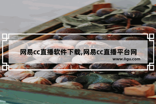 网易cc直播软件下载,网易cc直播平台网页版